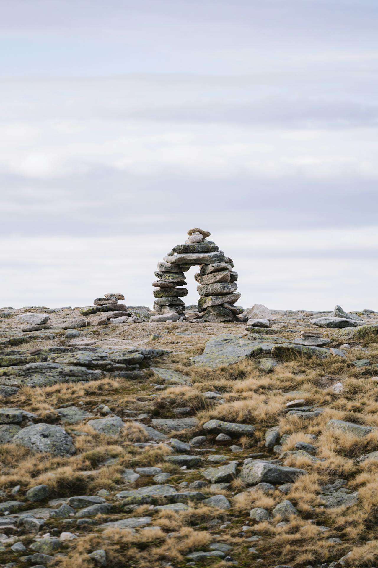 pexels-diogo-miranda-2044514-30322582