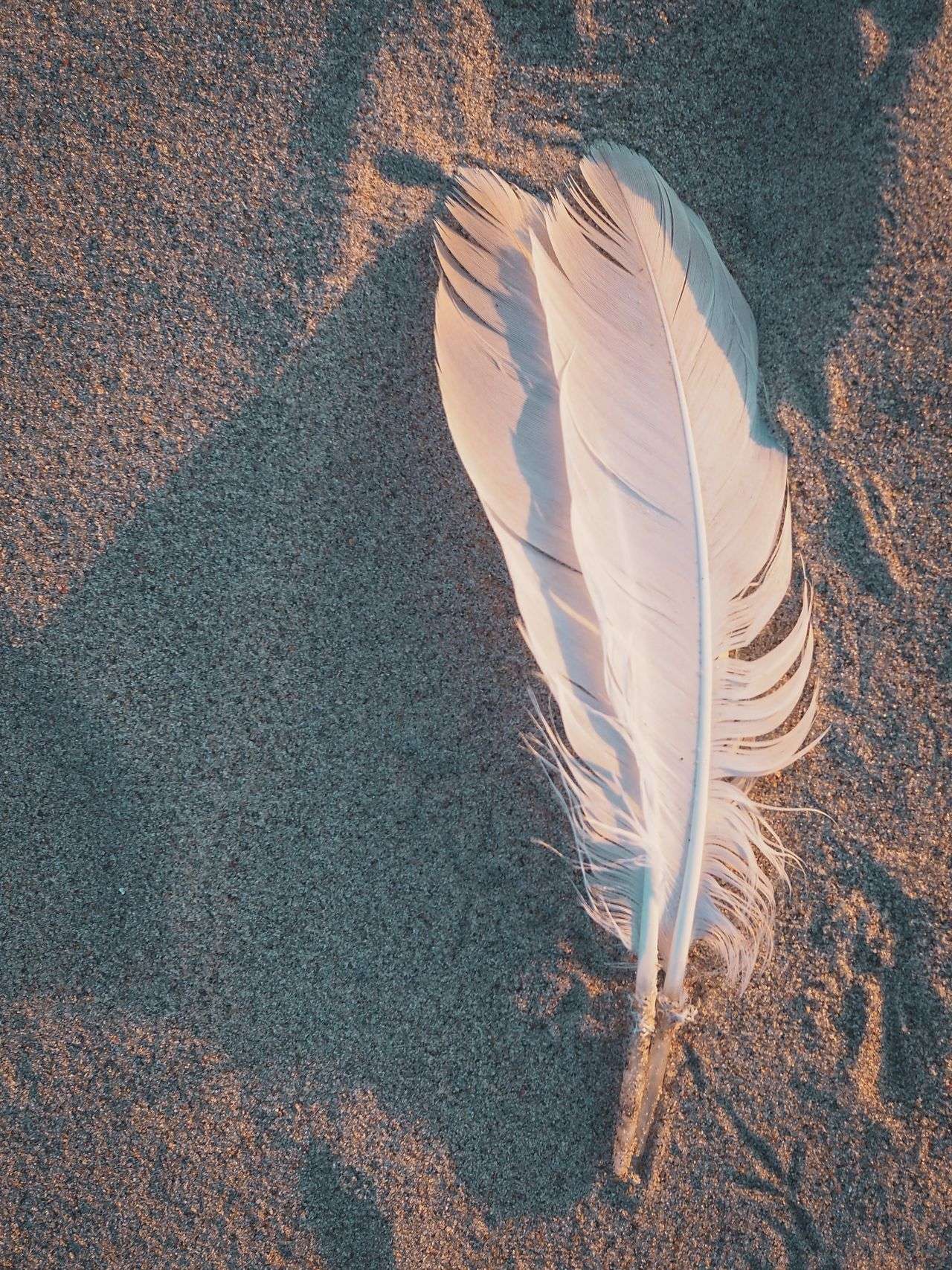 pexels-johndetochka-8758914