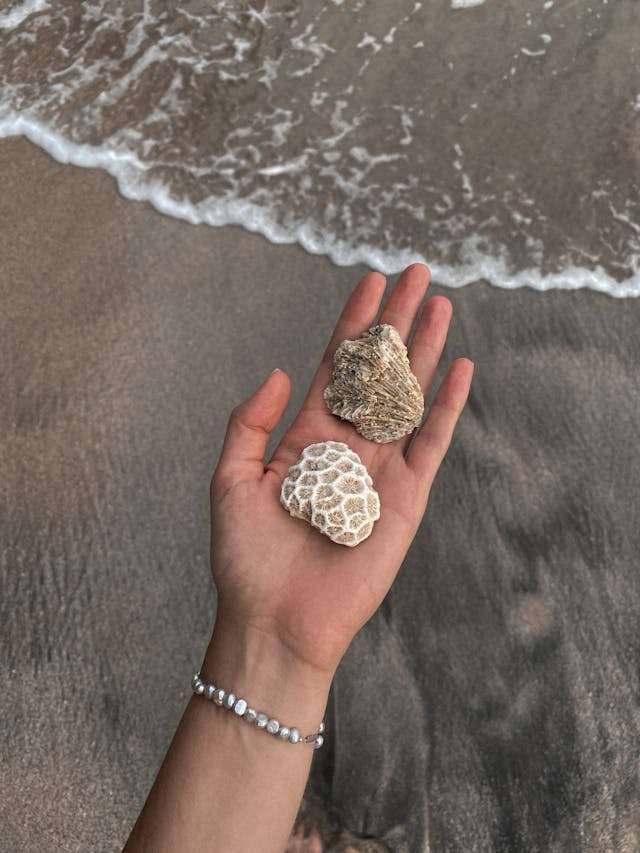 pexels-olga-kobylko-213768560-12105514